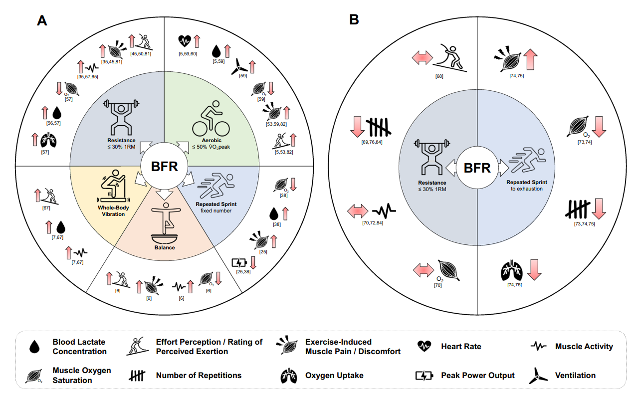 This is Figure 1 from the study: Bielitzki (2024) The Discrepancy Between External and Internal Load/Intensity during Blood Flow Restriction Exercise: Understanding Blood Flow Restriction Pressure as Modulating Factor. Keywords Vascular occlusion, Metabolic stress, Muscle pain, Efort perception, Stimulus, Terminology